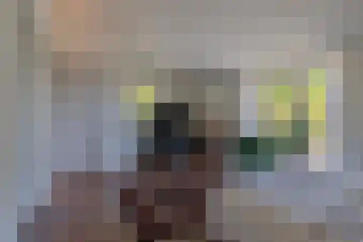 Zandeind 26 Riel thumbnail 48