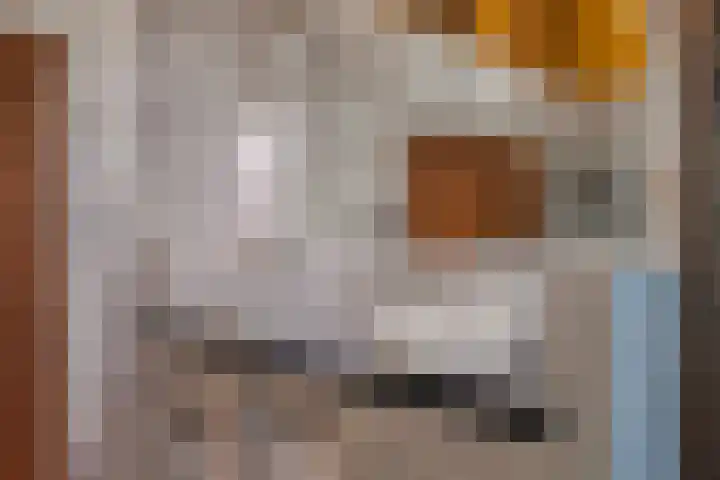 Zandeind 26 Riel thumbnail 51