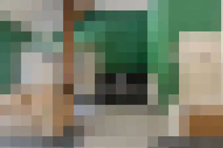 Zandeind 26 Riel thumbnail 56