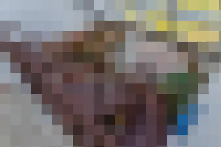 Zandeind 26 Riel thumbnail 59