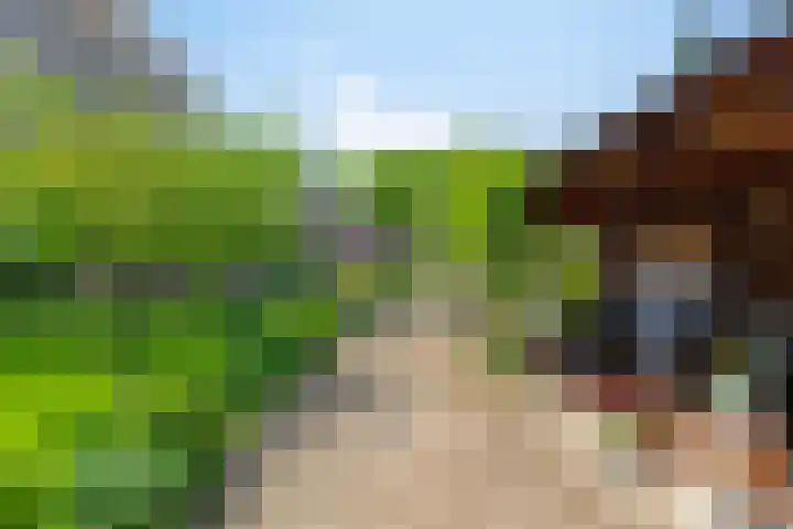 Zandeind 26 Riel thumbnail 69