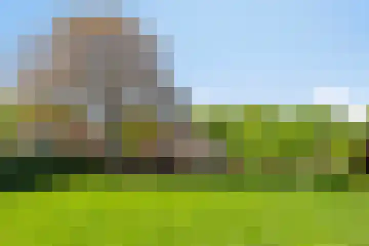 Zandeind 26 Riel thumbnail 70