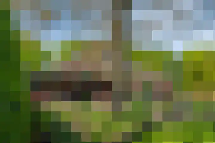 Zandeind 26 Riel thumbnail 72