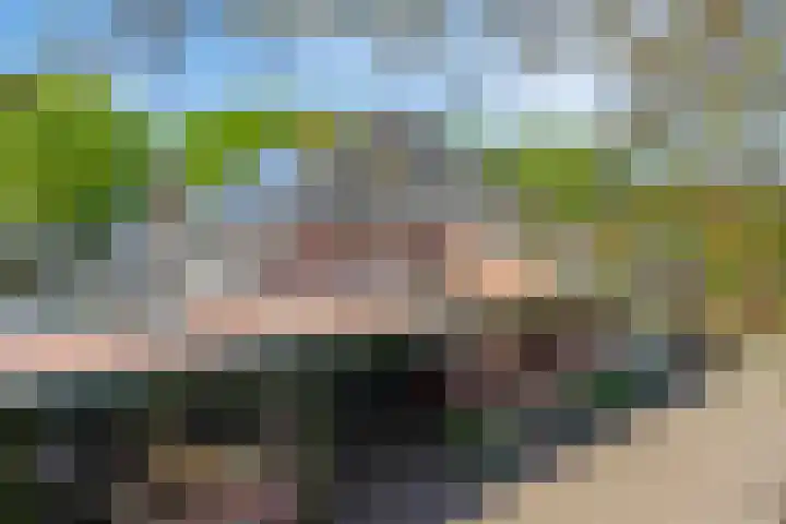 Zandeind 26 Riel thumbnail 73