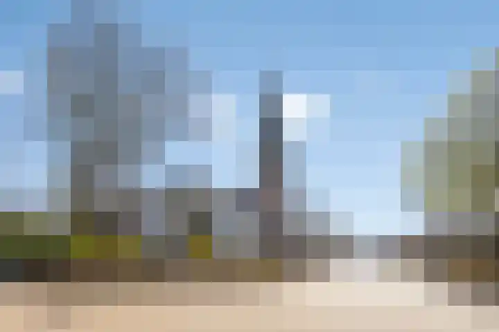 Zandeind 26 Riel thumbnail 75