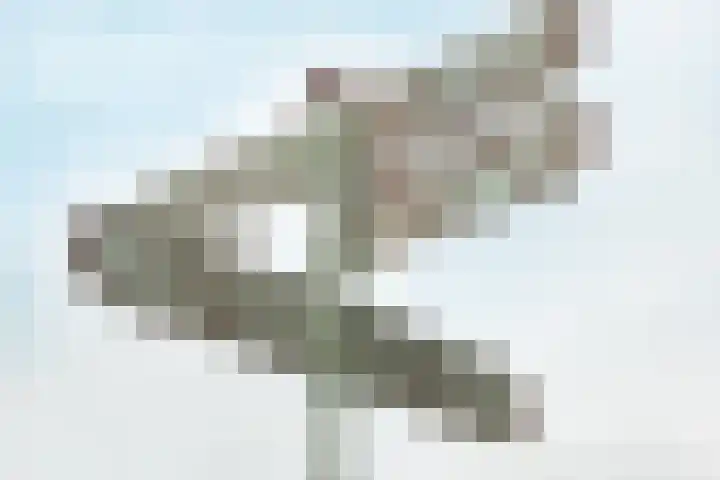 Zandeind 26 Riel thumbnail 77