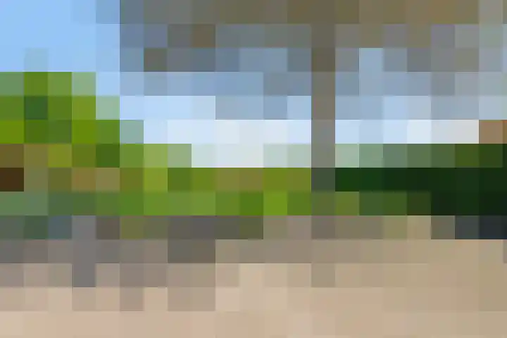 Zandeind 26 Riel thumbnail 8