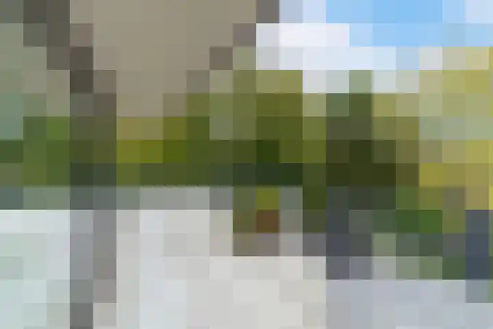 Zanderijpad 34 Wassenaar thumbnail 11