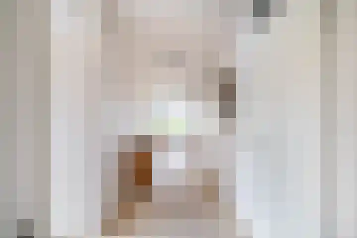 Zanderijpad 34 Wassenaar thumbnail 7