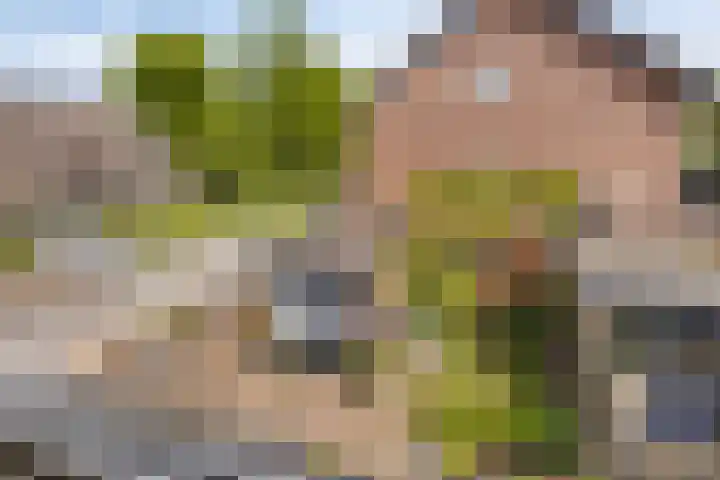 Zanderskamp 20 Doesburg thumbnail 32