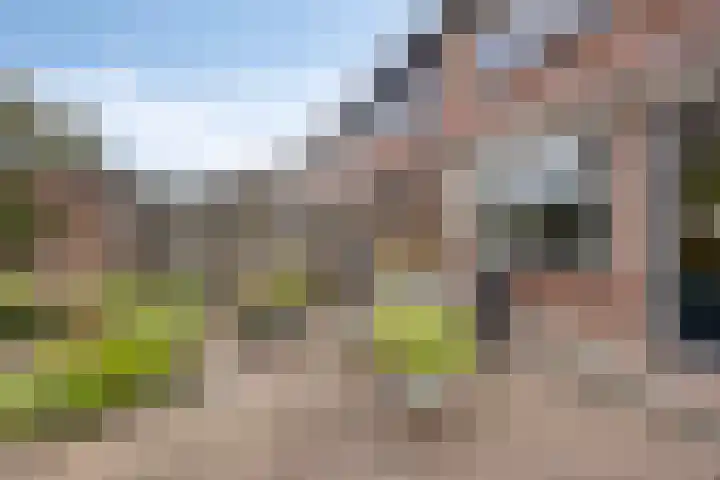 Zanderskamp 20 Doesburg thumbnail 35