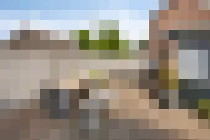 Zanderskamp 20 Doesburg thumbnail 36