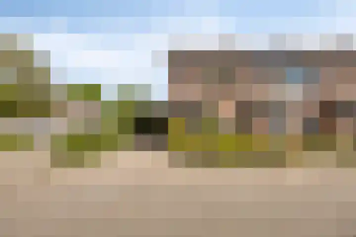Zanderskamp 20 Doesburg thumbnail 40