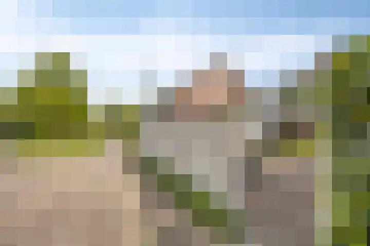 Zanderskamp 20 Doesburg thumbnail 41