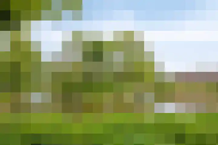 Zanderskamp 20 Doesburg thumbnail 43