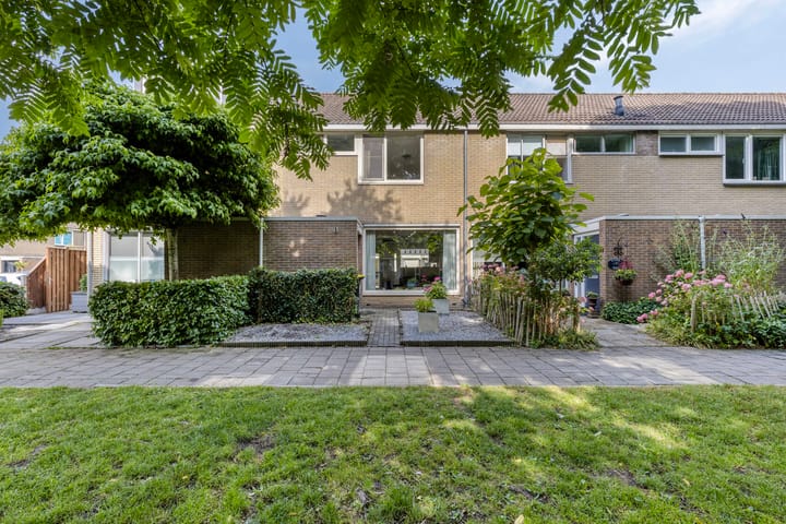 Zandgors 53 in Mijnsheerenland foto