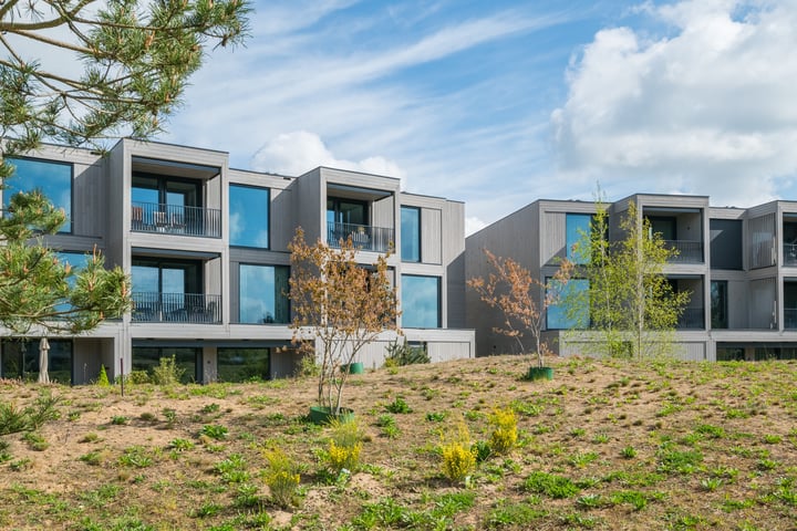 Zandheuvel 29 in Silvolde foto