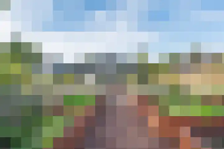 Zandheuvel 33 Silvolde thumbnail 34