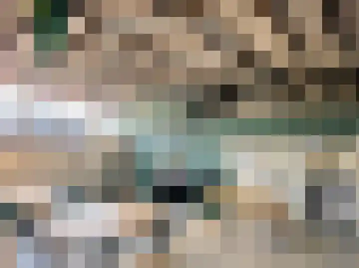 Zandheuvel 8 Silvolde thumbnail 35