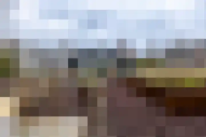 Zandheuvel 8 Silvolde thumbnail 36