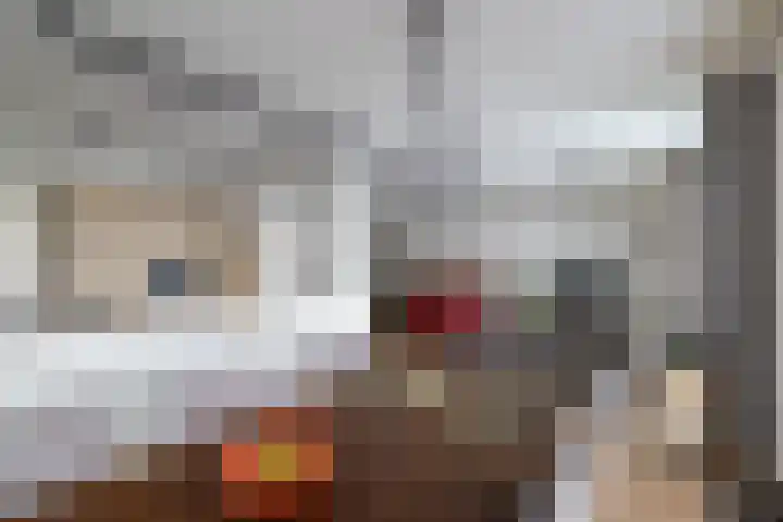 Zandheuvel 8 Silvolde thumbnail 7