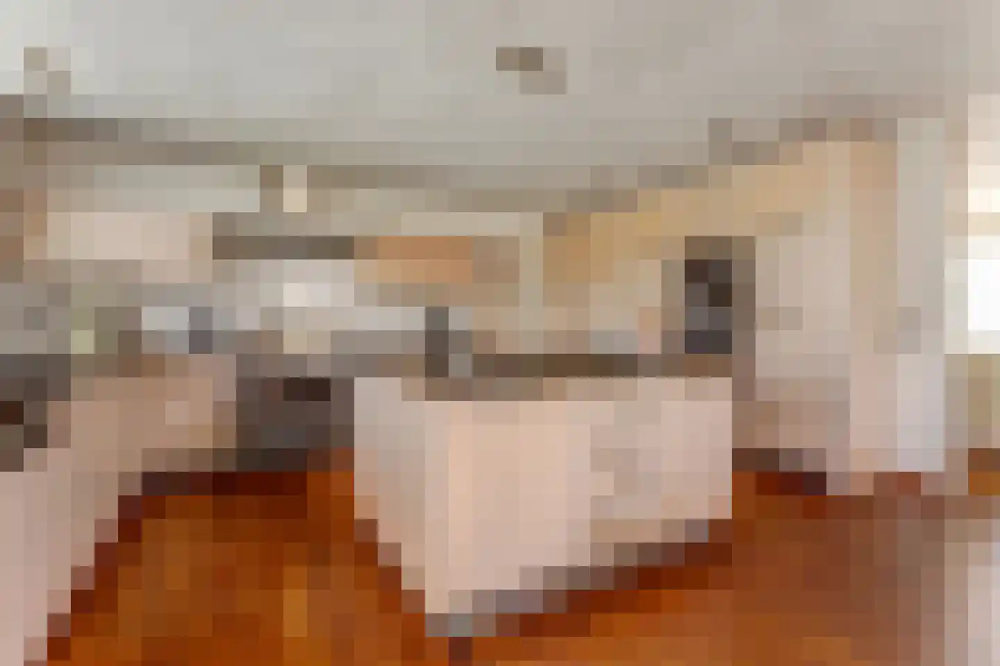 Zandkampen 11 Cuijk thumbnail 19