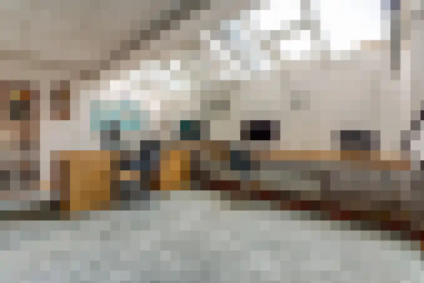 Zandkampen 11 Cuijk thumbnail 50