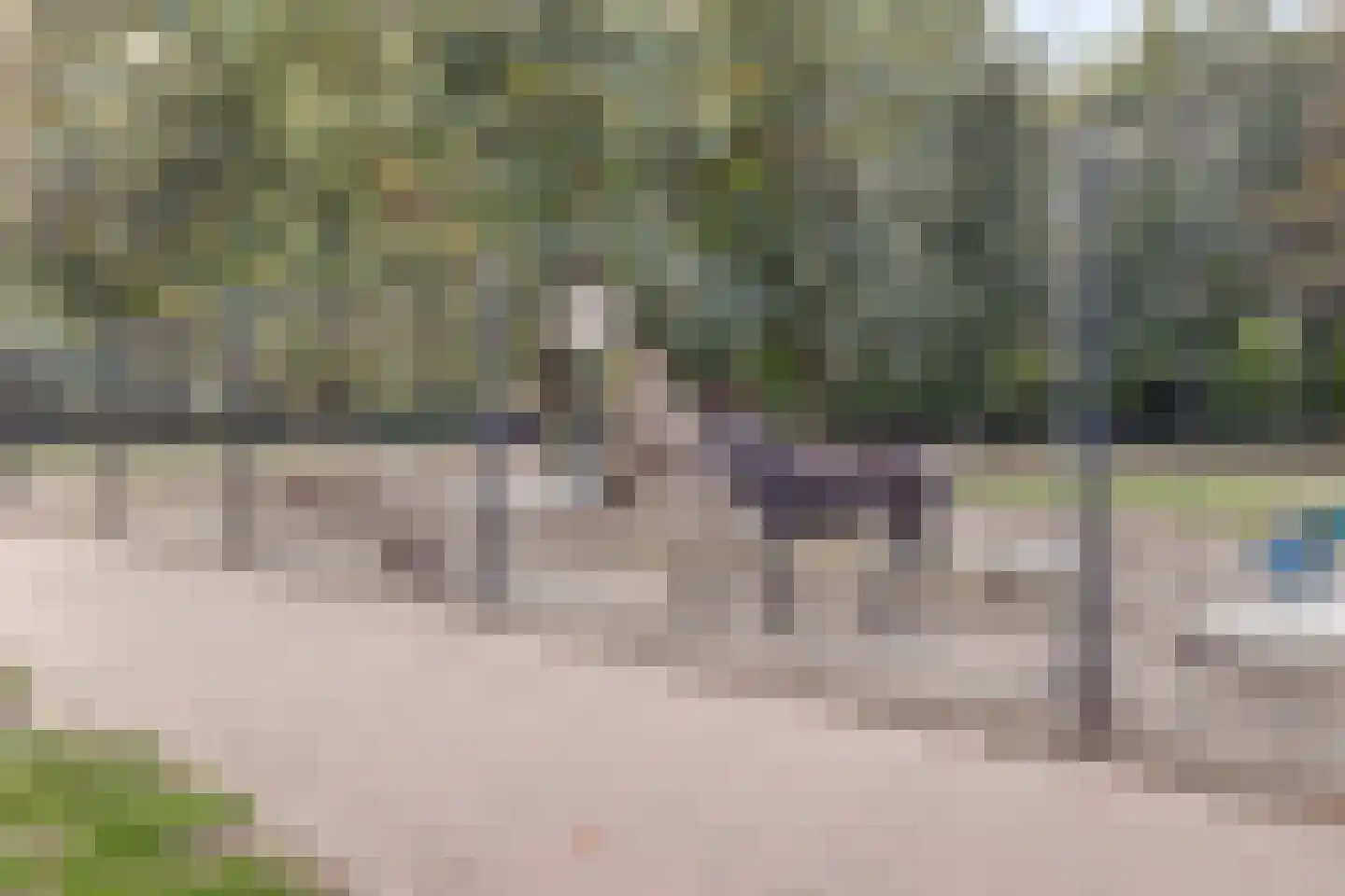Zandkampen 11 Cuijk thumbnail 75