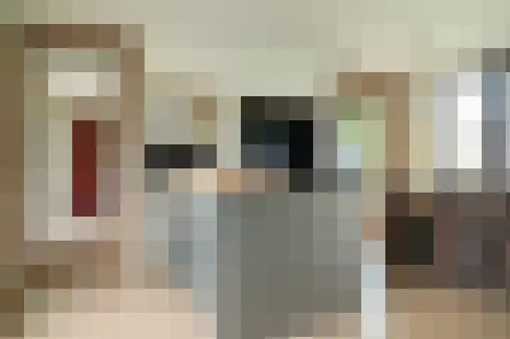 Zandpad 1 a Cothen thumbnail 14