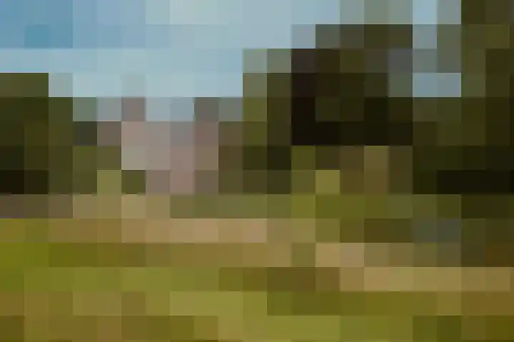 Zandpad 1 a Cothen thumbnail 27