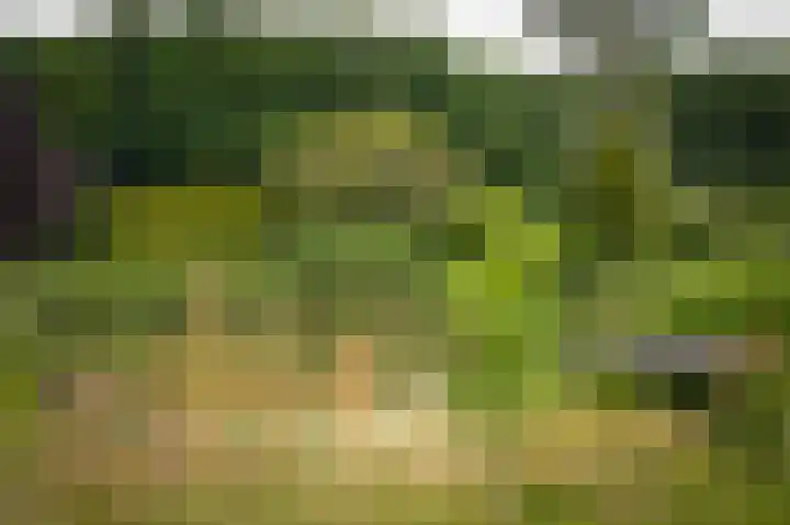 Zandpad 1 a Cothen thumbnail 36