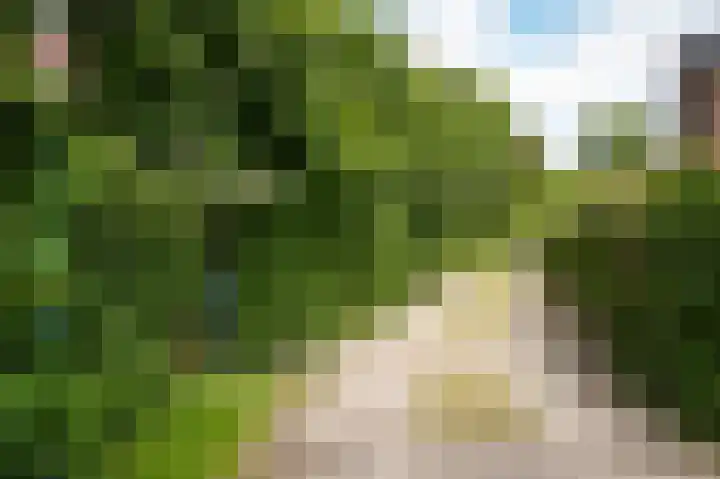 Zandpad 1 a Cothen thumbnail 41