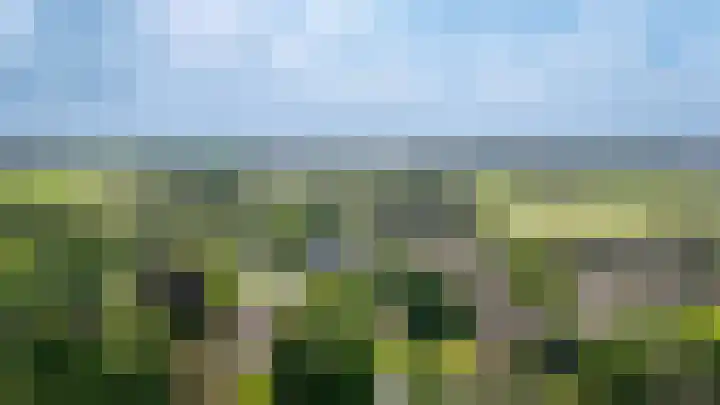 Zandpad 1 a Cothen thumbnail 45