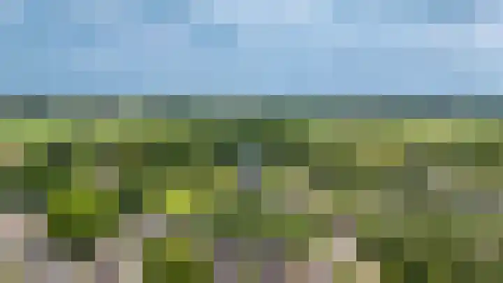 Zandpad 1 a Cothen thumbnail 46