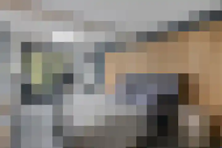 Zandpad 131 Breukelen thumbnail 16