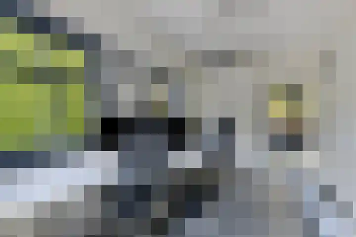 Zandpad 131 Breukelen thumbnail 21