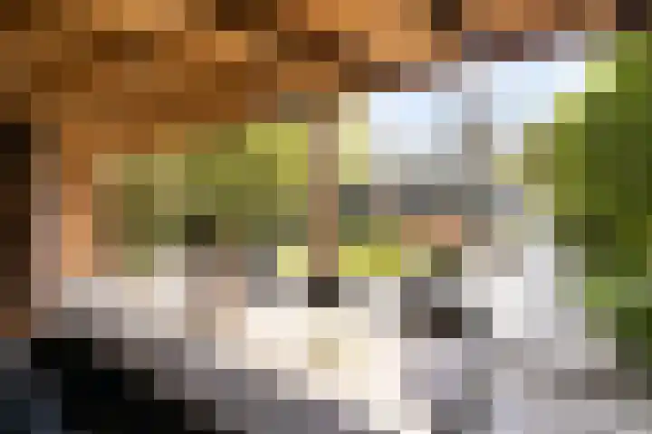 Zandpad 131 Breukelen thumbnail 31