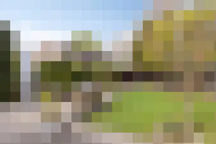 Zandpad 131 Breukelen thumbnail 32