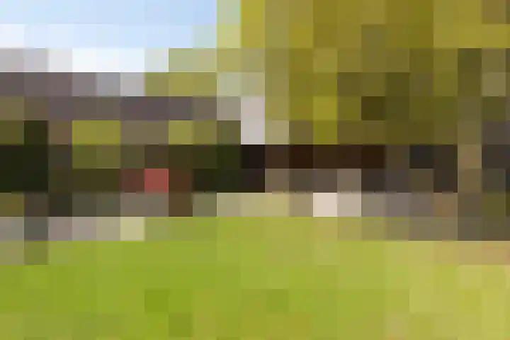 Zandpad 131 Breukelen thumbnail 36