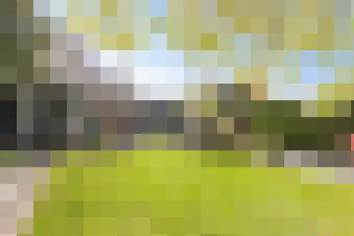 Zandpad 131 Breukelen thumbnail 38