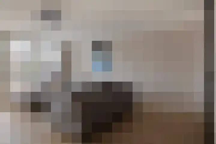 Zandpad 27 Middelharnis thumbnail 11