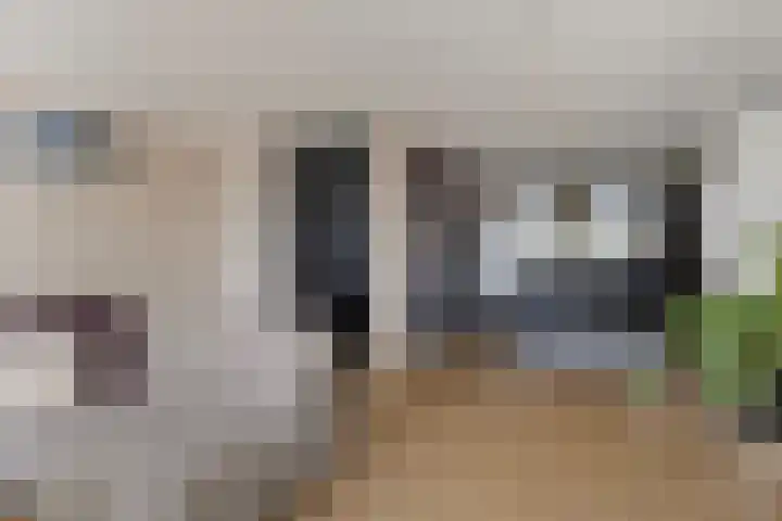 Zandpad 27 Middelharnis thumbnail 12