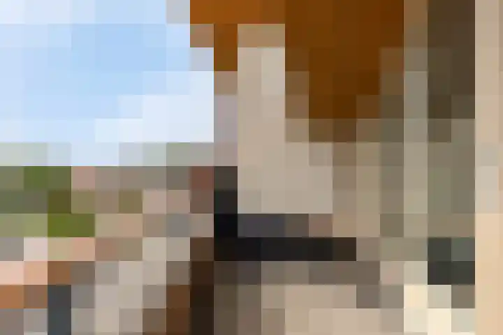 Zandpad 27 Middelharnis thumbnail 37