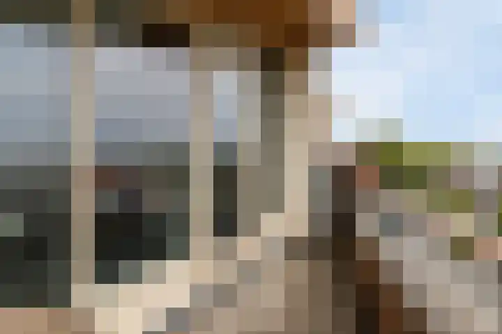 Zandpad 27 Middelharnis thumbnail 38