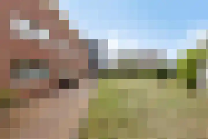 Zandpad 27 Middelharnis thumbnail 46