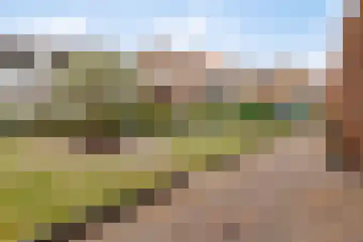 Zandpad 27 Middelharnis thumbnail 48