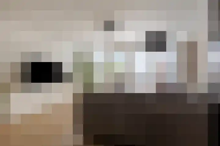Zandpad 27 Middelharnis thumbnail 9