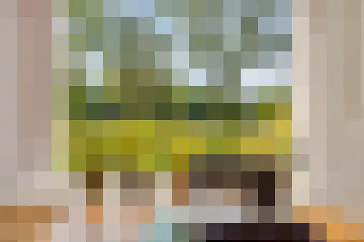 Zandpad 37 Maarssen thumbnail 15