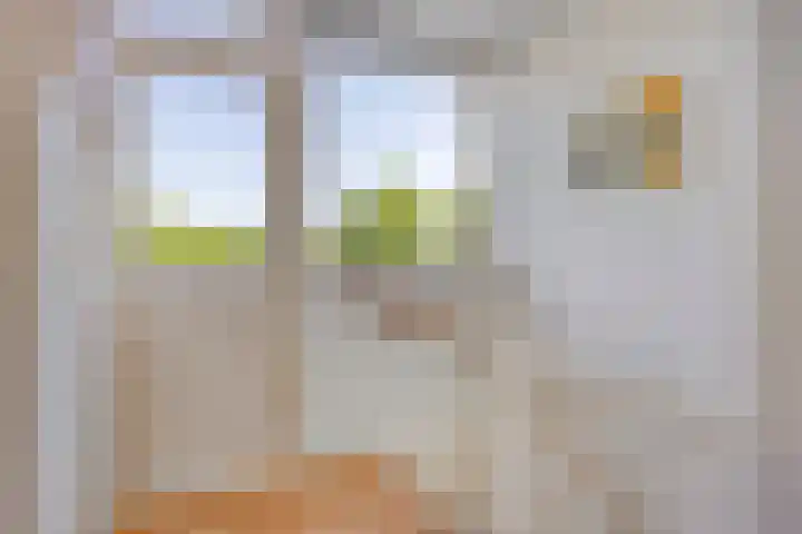 Zandpad 37 Maarssen thumbnail 21