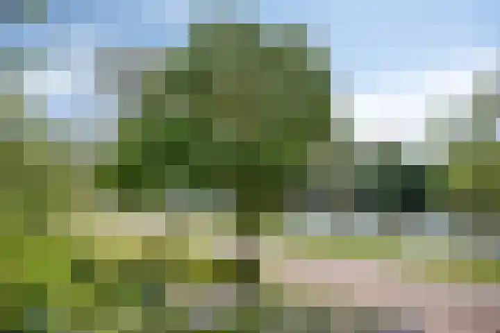 Zandpad 37 Maarssen thumbnail 27